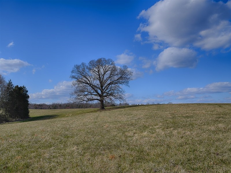 Virginia Farm for Sale