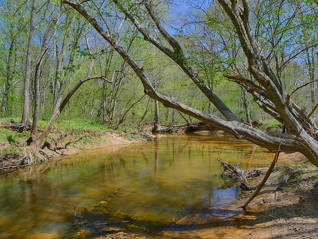 Farm in Virginia for Sale