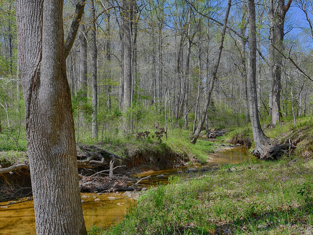 Farm in Virginia for Sale