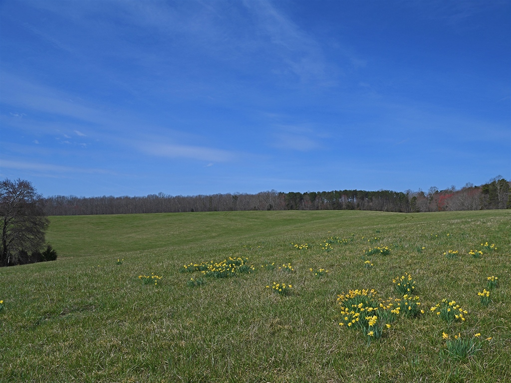 Louisa County Virginia Farm