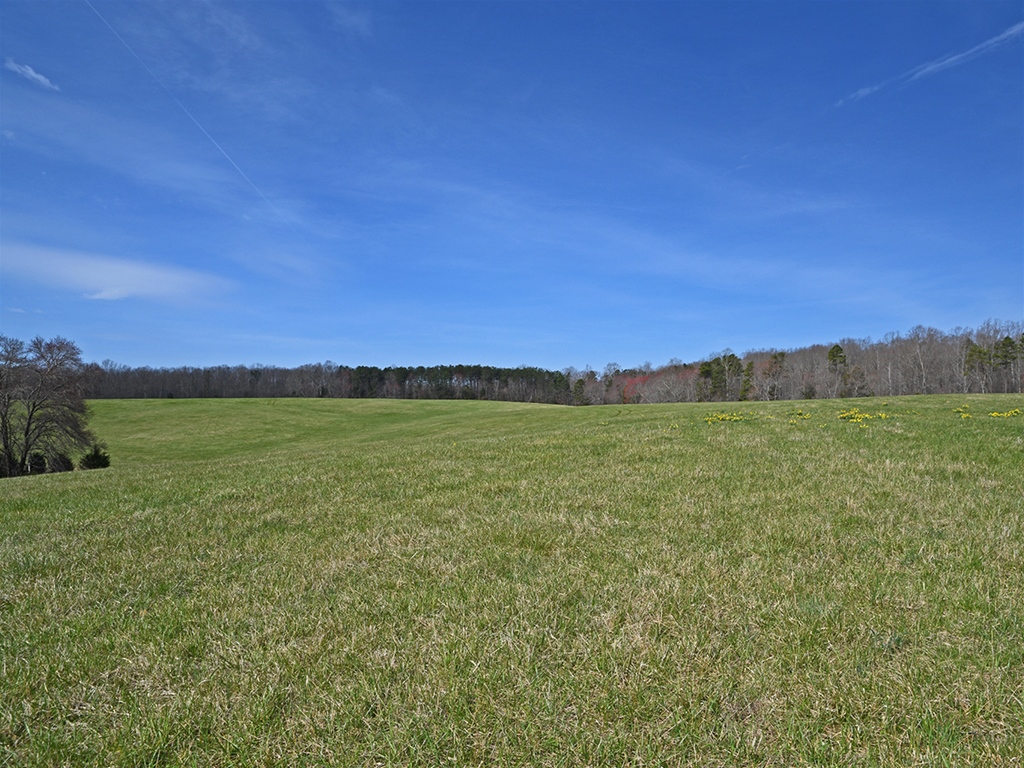 Farm in Virginia for Sale