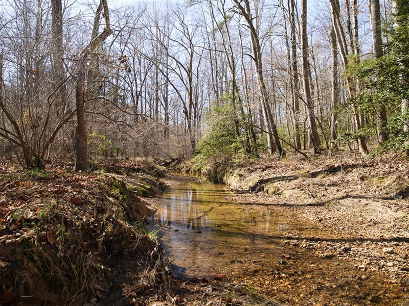 Farm in Virginia for Sale