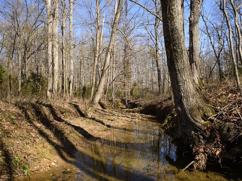 Farm in Virginia for Sale