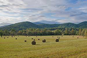 Madison County Virginia Farm for sale