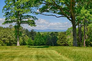Albemarle County Land for sale in Barboursville, Virginia