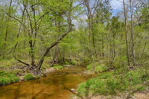 Fluvanna County Virginia Land for sale