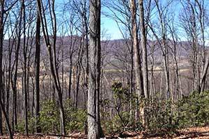 Albemarle County Virginia land for Sale