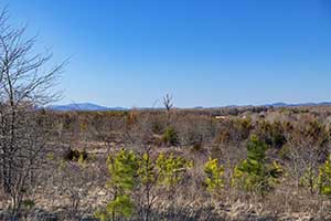 Buckingham County Land for sale 