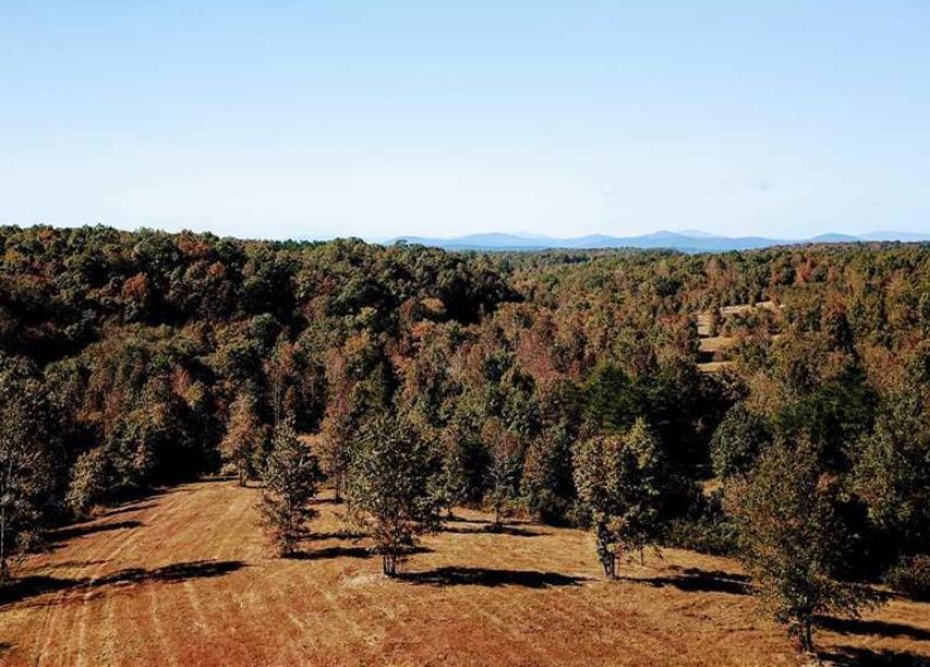 Land for Sale in Virginia