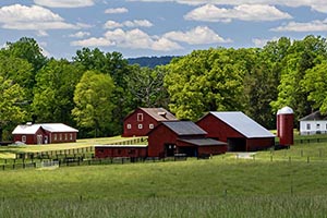 Farms for Sale in Virginia