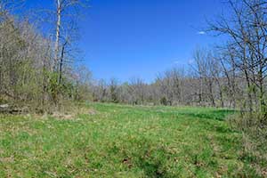Nelson County Virginia land for Sale