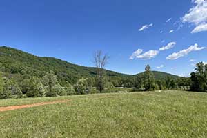 Virginia Land for sale