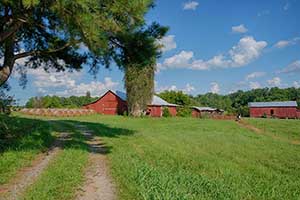 Historic Home and farm for Sale in Virginia 