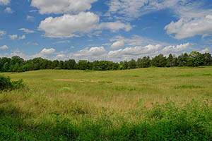 Albemarle County Virginia Land for sale