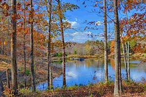 Albemarle County Virginia Land for sale