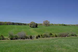 Louisa County Virginia Farm for sale