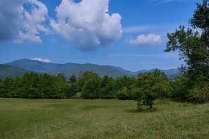 Madison County Virginia Land on Rapidan River