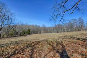 18th Century Historic Home in Virginia for sale