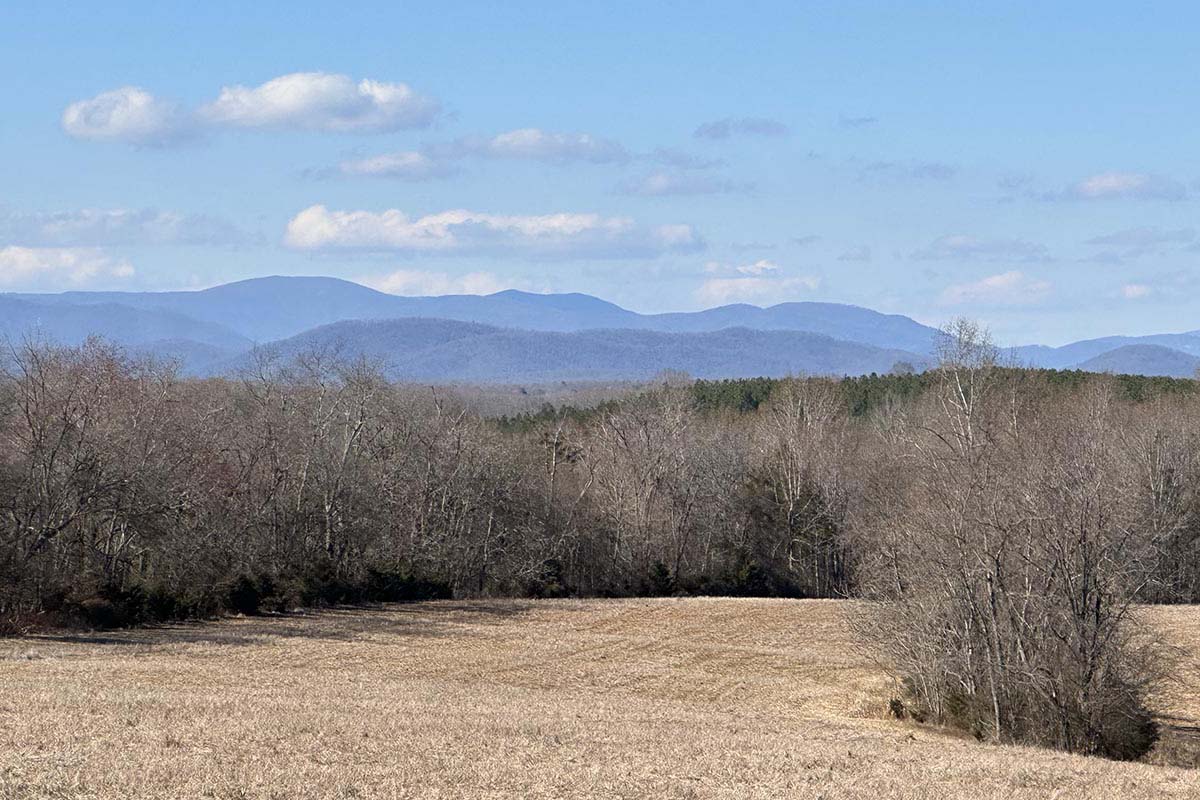 Madison County Virginia Land in Oak Park