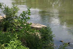 Culpeper Virginia Farm and Riverfront land