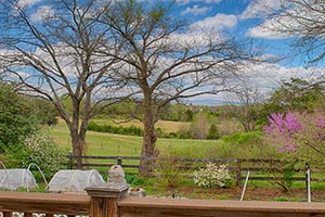 Madison County Va Horse Farm for sale
