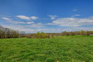 Madison County Virginia Farm for sale