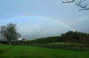 Charlottesville Va Horse Farms for sale