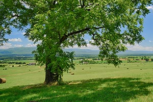 Augusta County Virginia Farm for sale