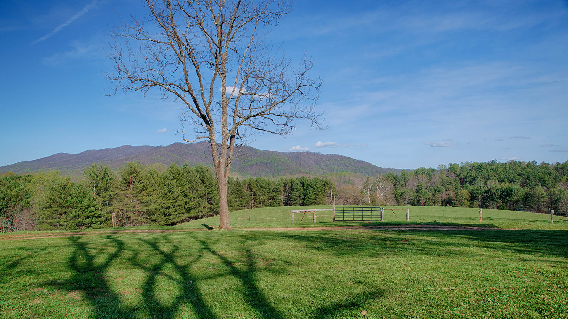 Red Hill - Historic Home for Sale in Virginia