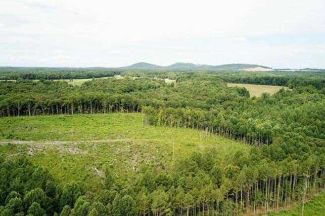 Land for sale in Buckingham County, Virginia  