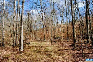 Lots Near Scottsville Virginia for sale