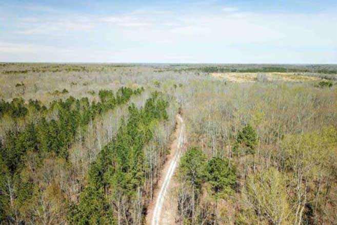 Land for sale in Hanover County, Virginia 