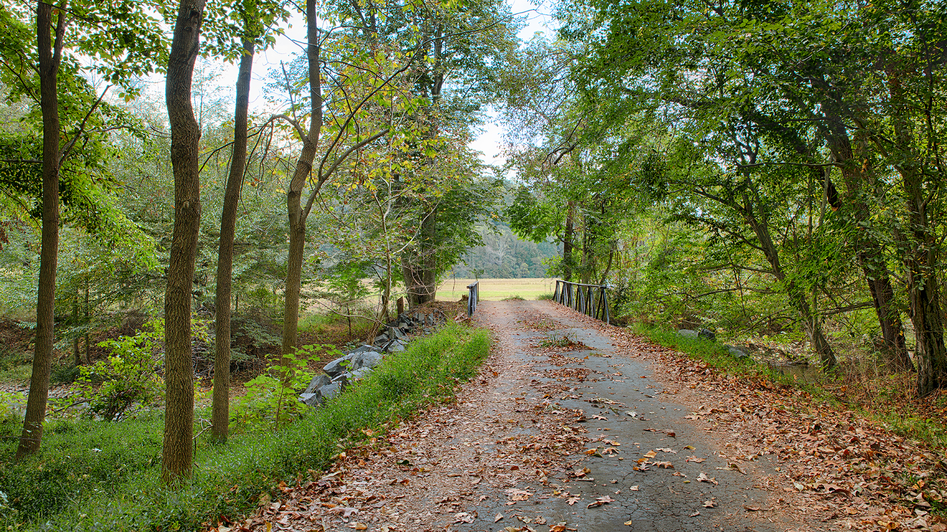 Land for sale in Madison County Va