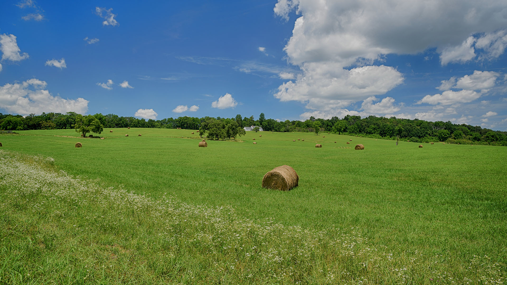 3324 Rockfish Rd Crimora VA 24431