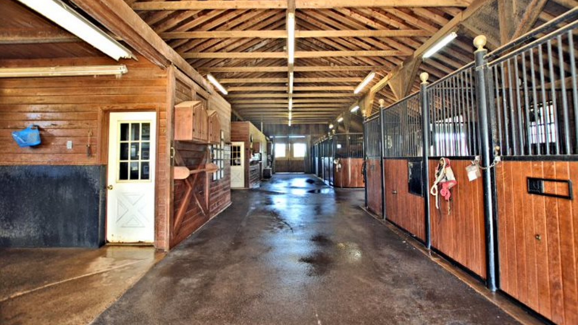 409 Cook Mountain Brightwood, VA