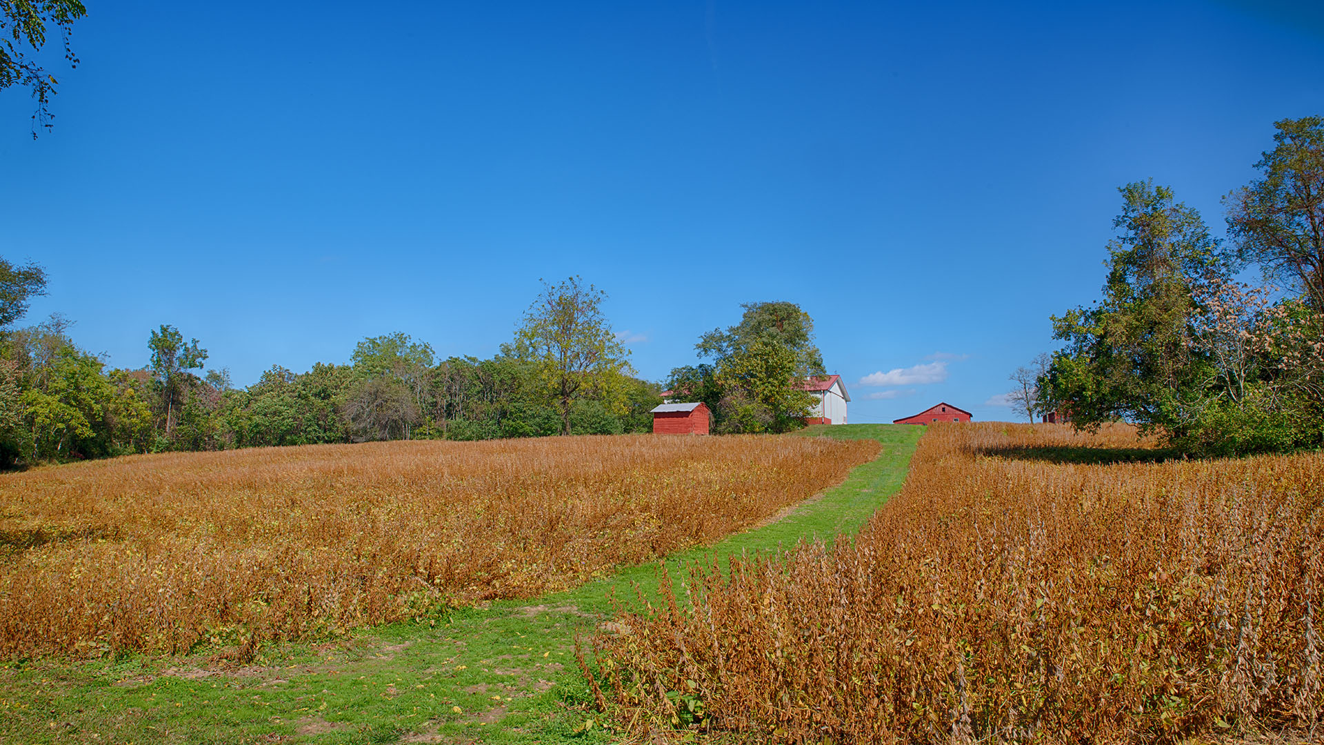 4759 Oakland Road Louisa, Virginia 22738