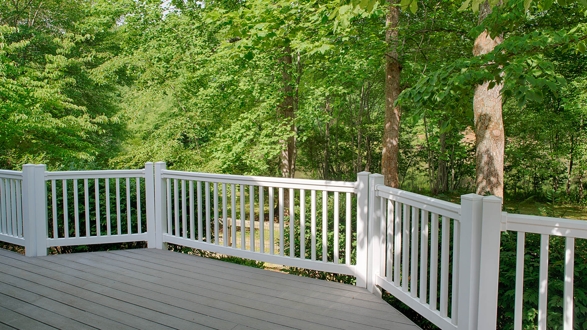 49 Fox Run Stoney Creek, VA
