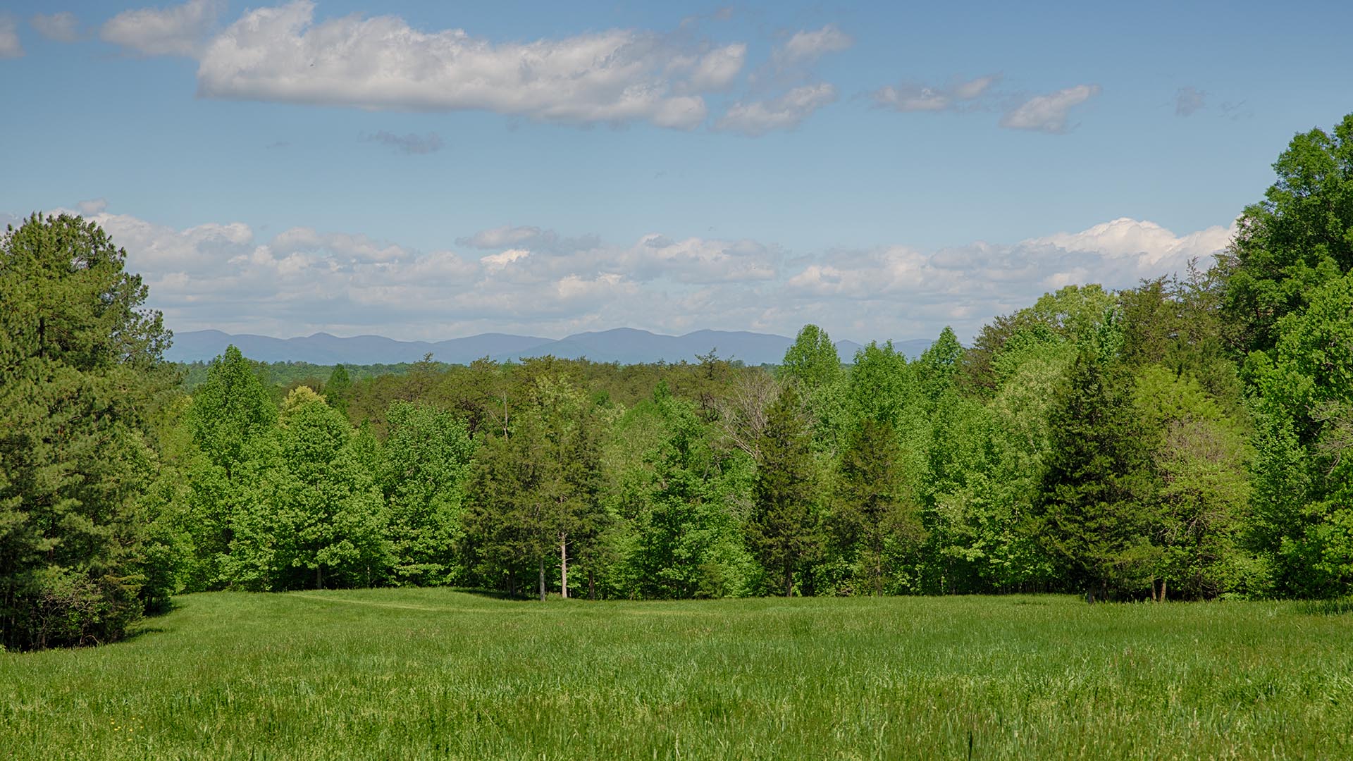  5176 Burnley Station Rd Barboursville Virginia