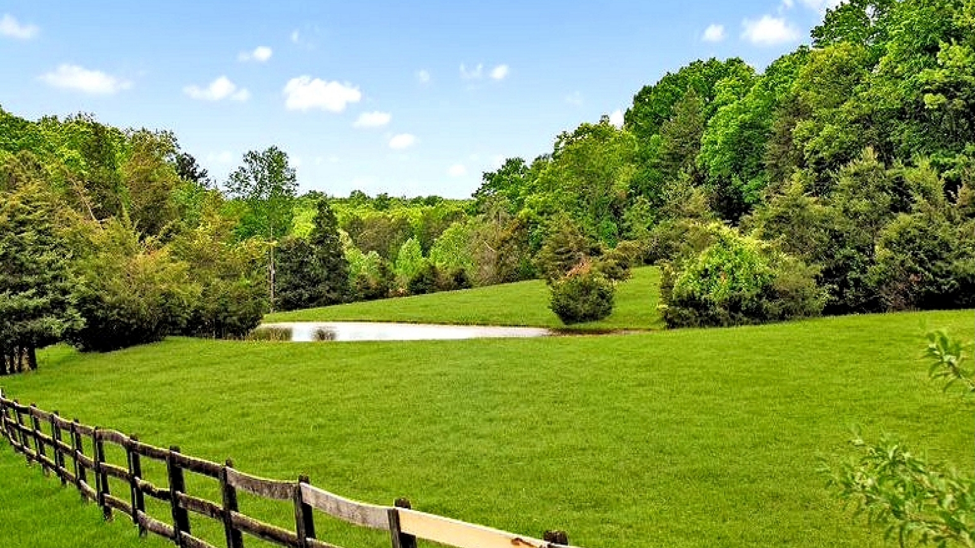  Horse Farm for Sale in Fluvanna County VA