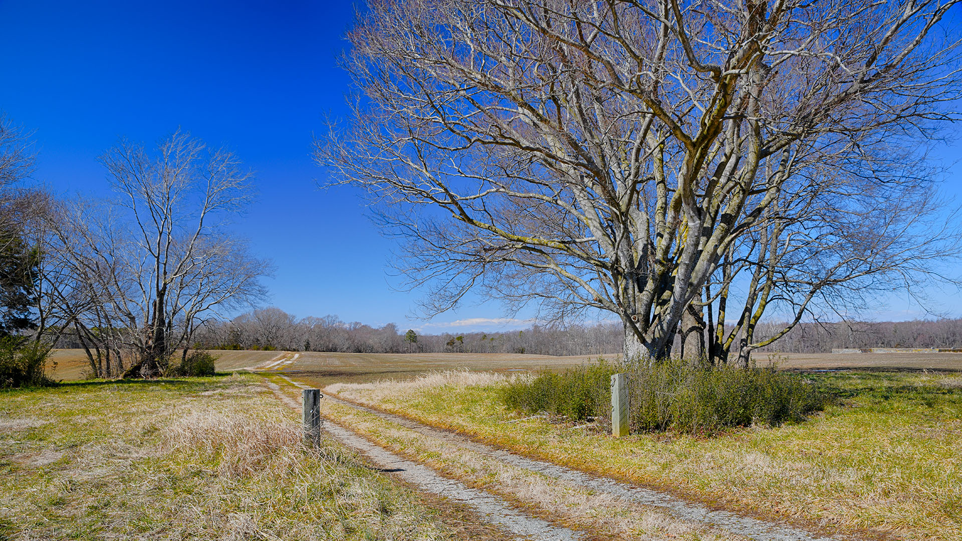 Land for Sale in Goochland County, Virginia