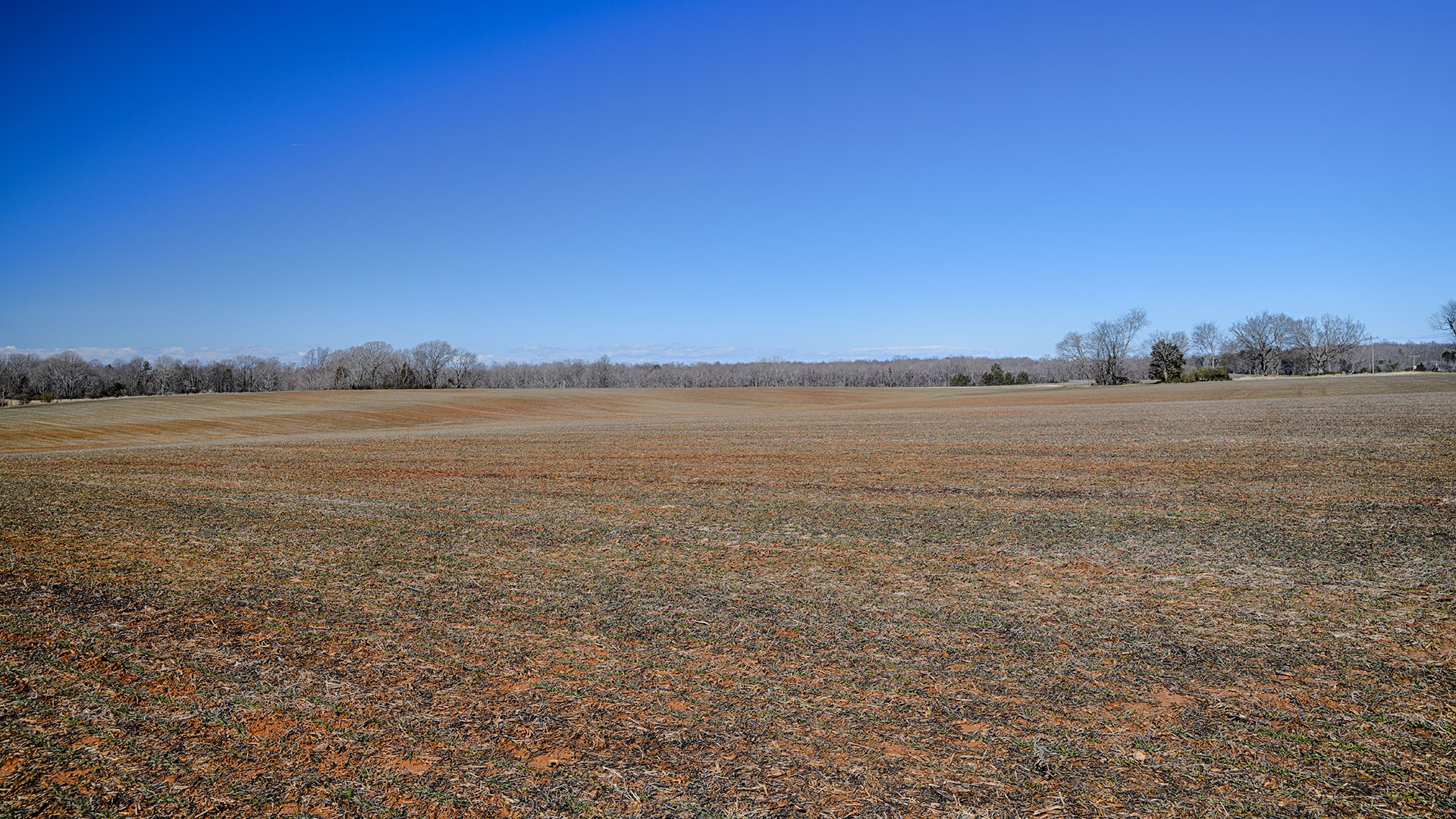 1799 Pa Lane Crozier Land for Sale in Goochland County Virginia