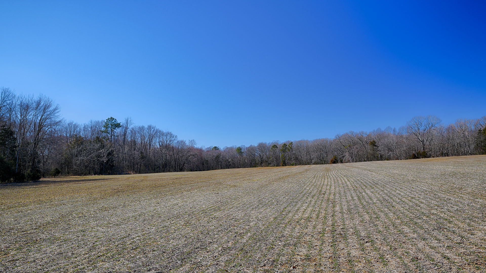 1799 Pa Lane Crozier Land for Sale in Goochland County Virginia