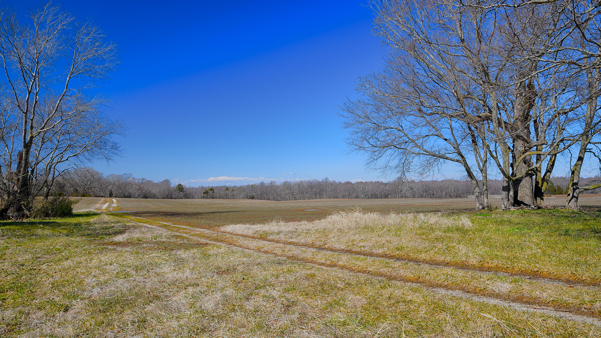 Goochland County Va Farm land for Sale