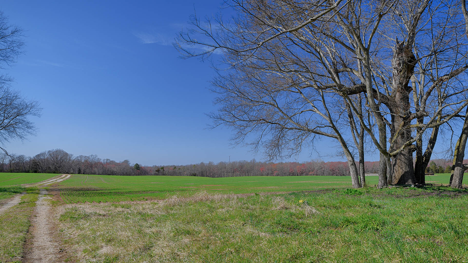 1799 Pa Lane Crozier Land for Sale in Goochland County Virginia