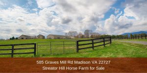 Horse Farm for Sale in Madison VA