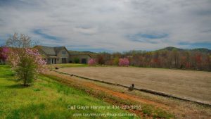 Madison VA Horse Farms