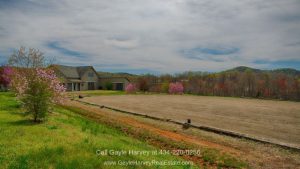 Madison VA Horse Farms