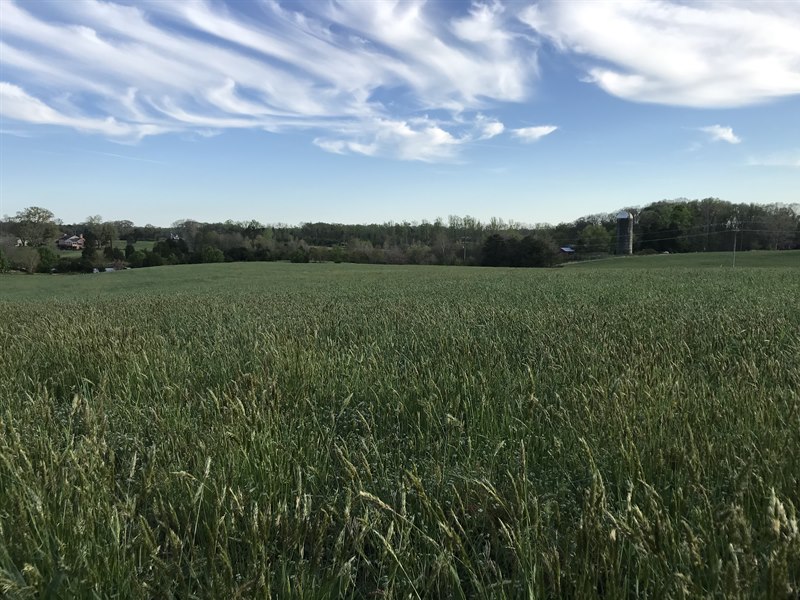 Louisa County Virginia Farm for Sale