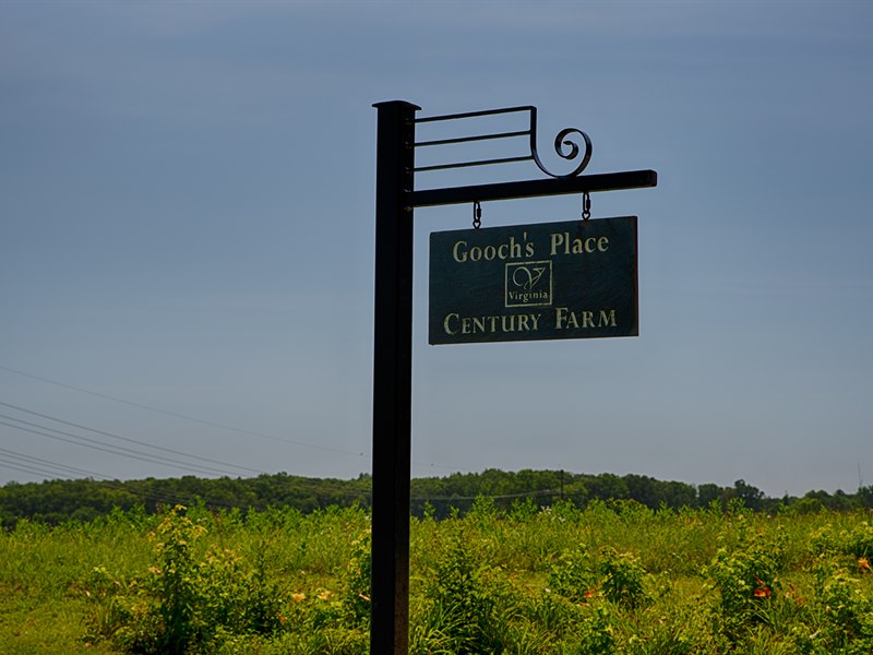 Louisa County Virginia Farm for Sale