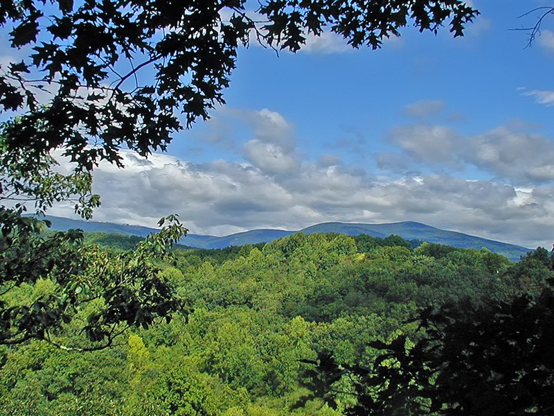 Nelson County Va Land for Sale